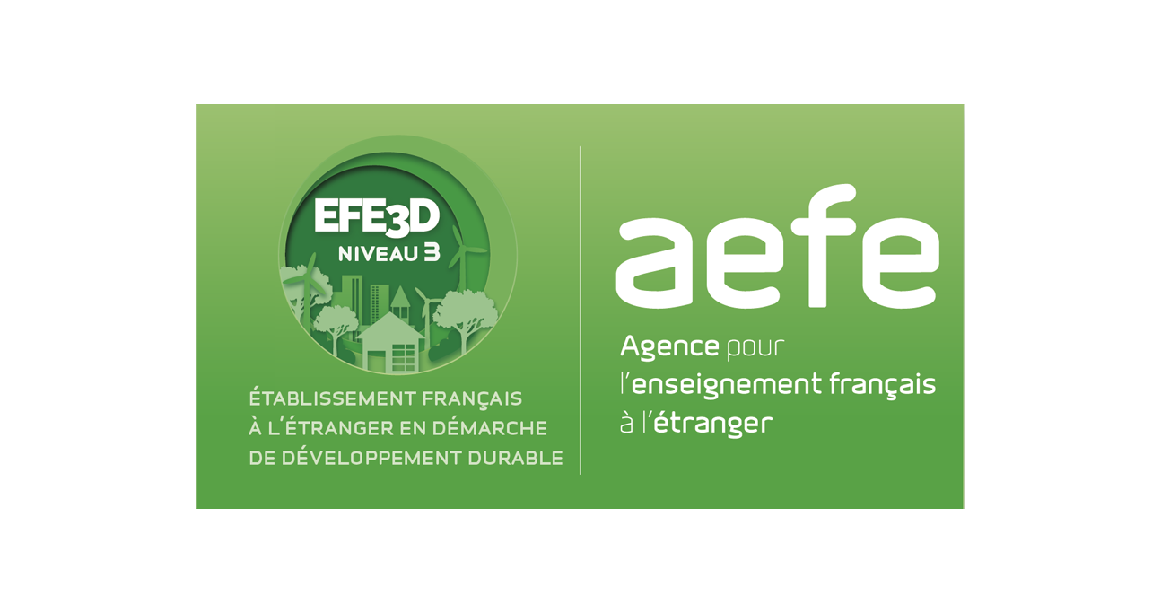 EFE3D-AEFE-niveau3 copie